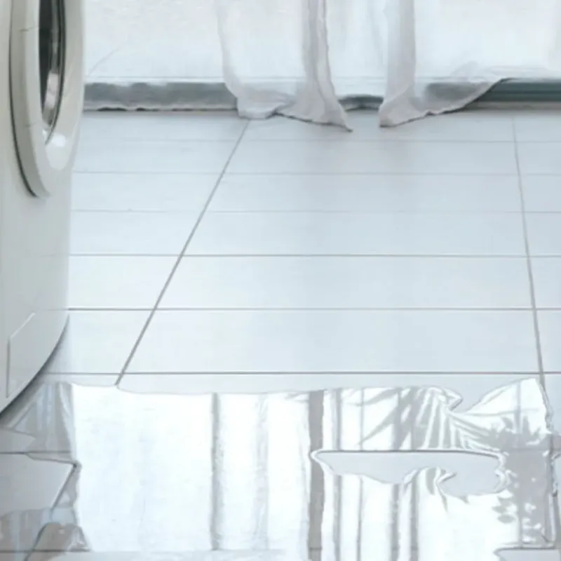Appliance Leak Cleanup in Bernice, LA